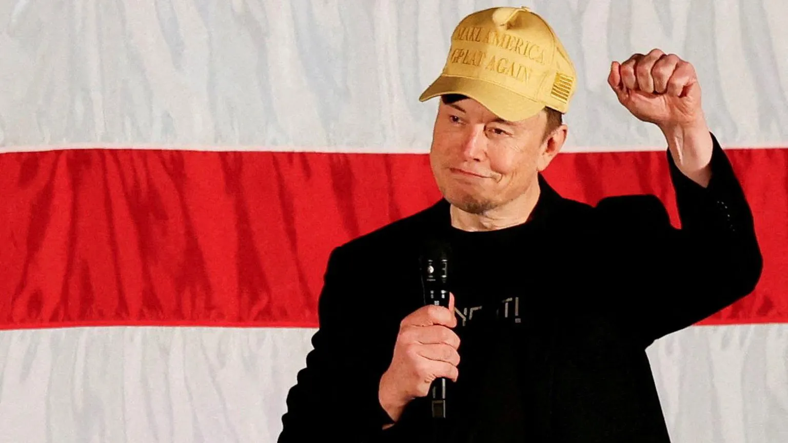 Musk's $1m-a-day to swing states voters 'deeply concerning' 11 hours ago